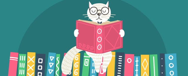 cat sitting on a pile of books